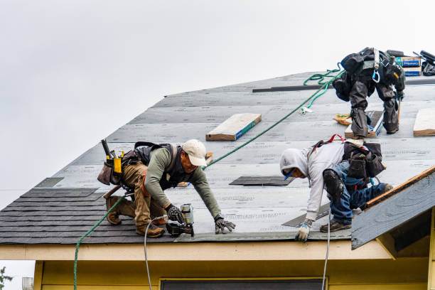 Professional Roofing technician working in Cambridge, MN